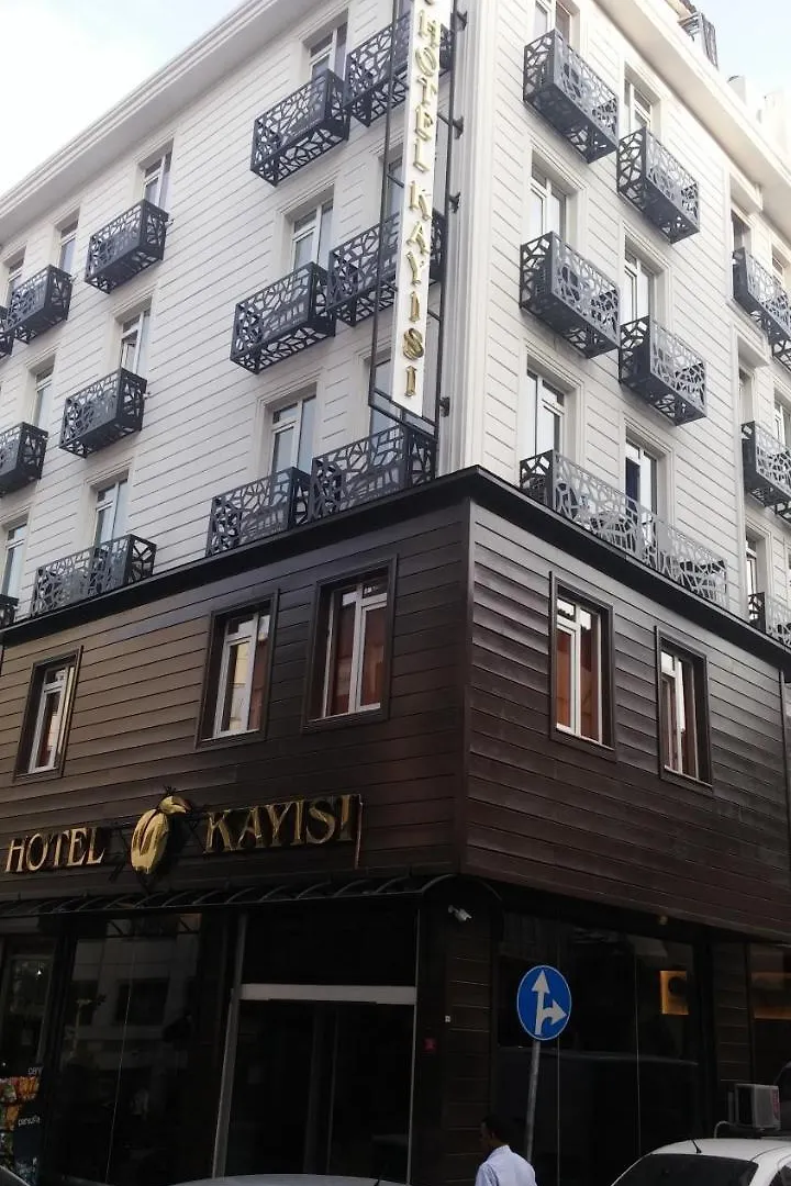 Hotel Kayisi İstanbul 3*,